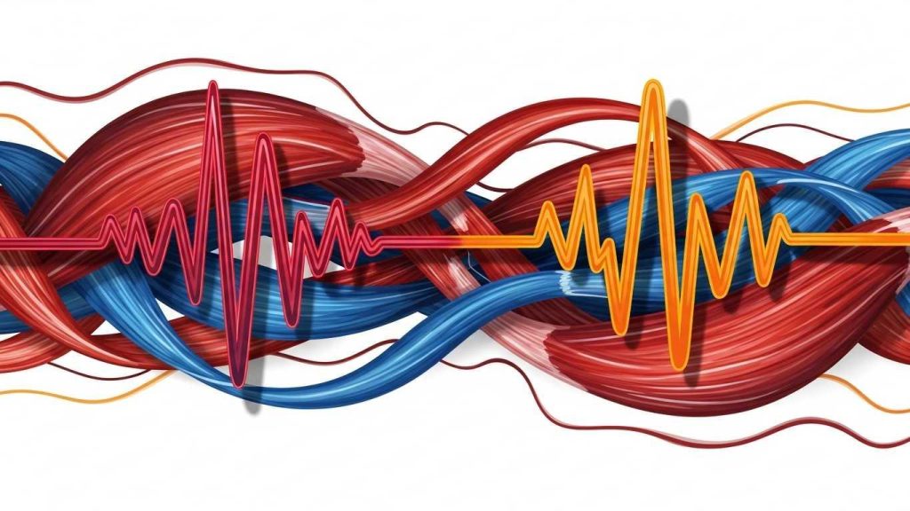 kak pravil no sochetat silovye trenirovki i kardio dlja vynoslivosti 3
