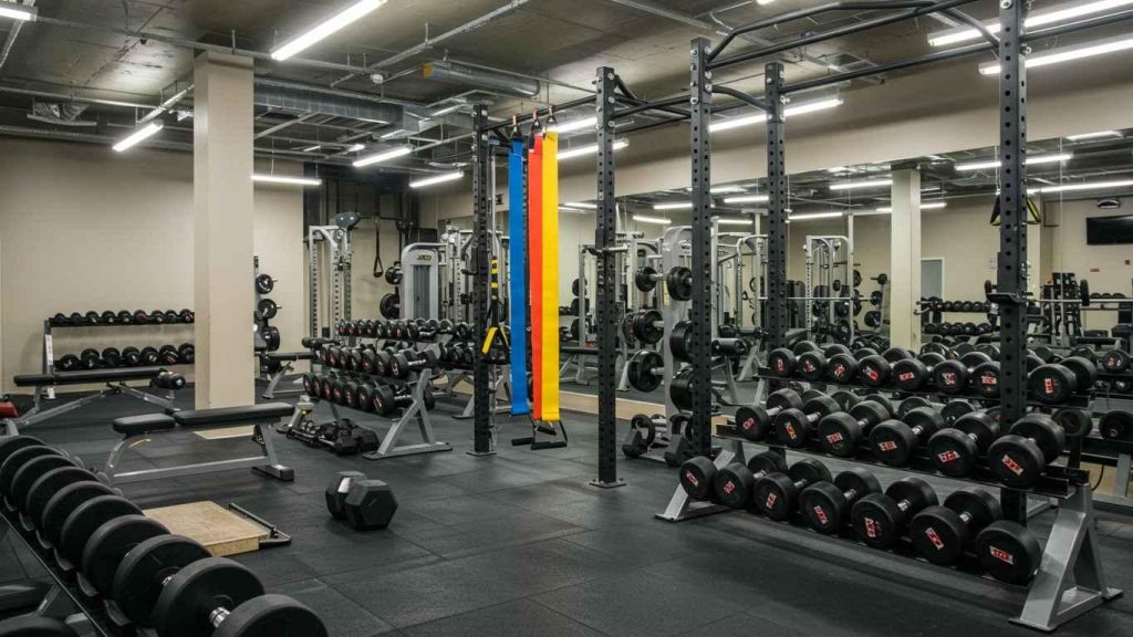 top 5 silovyh treningov dlja nabora myshechnoj massy 2