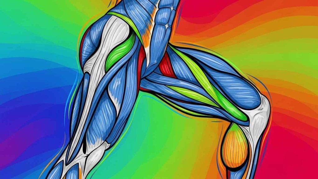 top 5 uprazhnenij dlja ukreplenija kvadritsepsov 3