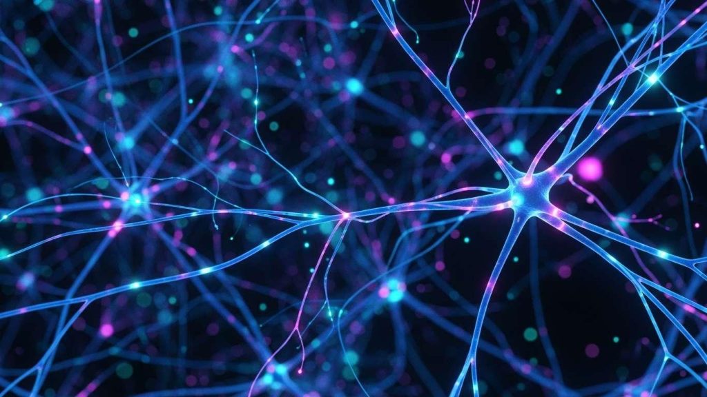 vlijanie trenirovok na nervnuju sistemu 2